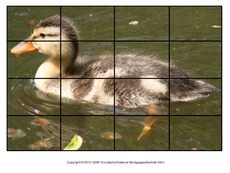 Puzzle-Stockente-7.pdf